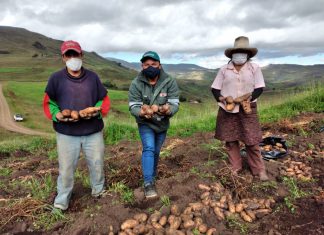 La Libertad: SENASA fomenta la producción de alimentos sanos e inocuos