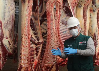 Fiscalizan condiciones sanitarias de mataderos autorizados en Arequipa