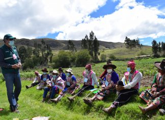 Arequipa: SENASA fortalece las capacidades agrícolas y pecuarias de 675 productores de la agricultura familiar