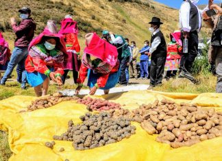 Cierre de mercado boliviano afecta a productores peruanos