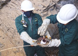 Ganadería familiar de Apurímac se beneficia con plan piloto para el control de rabia de los herbívoros