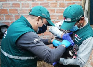 Amazonas: Realizan estudio epidemiológico para descarte de Influenza Aviar