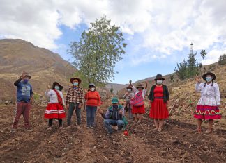 Apurímac: Productores de zonas altoandinas inician producción de papa bajo la metodología de Escuelas de Campo del SENASA