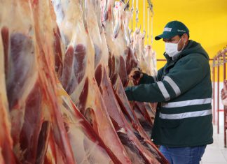 SENASA mantiene gestiones estratégicas con gobiernos locales para mejoramiento de mataderos