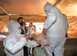 Segunda Reforma Agraria: Fortalecen acciones a favor de la agricultura familiar en Arequipa