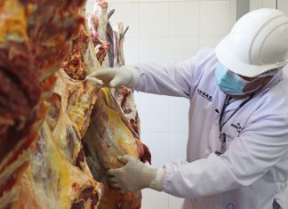 Matadero municipal de San Jerónimo será el primer establecimiento que recibirá kit de faenamiento en Apurímac