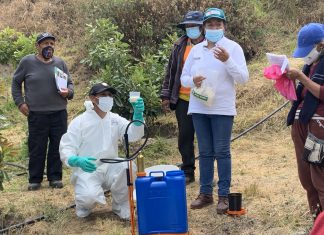 SENASA promueve uso de controladores biológicos como alternativa para el control de plagas