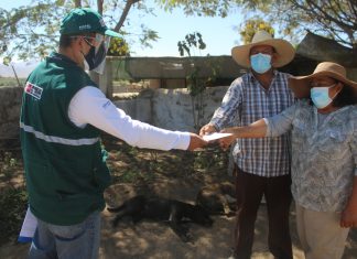 Arequipa: SENASA inicia certificación de buenas prácticas en predios agrícolas