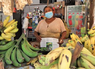 SENASA: Productores de Selva Central articulan acciones para evitar el ingreso de Fusarium Raza 4 Tropical