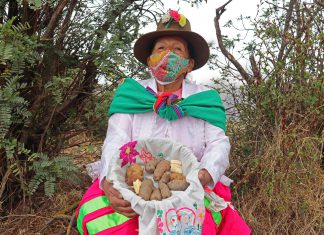 Apurímac: Pequeños productores obtendrán certificado de SENASA para garantizar alimentos saludables