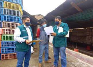 Apurímac: SENASA inicia fiscalización de prácticas de higiene en centros de faenamiento de aves