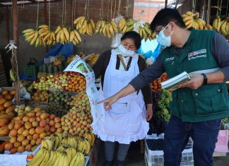 Apurímac: SENASA y comerciantes de Andahuaylas se unen para la erradicación de la mosca de la fruta