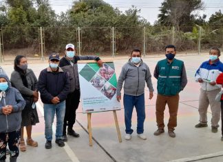 SENASA capacitó a pequeños agricultores de Chiquitoy para la producción de frutas sanas