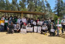 SENASA y productores de la agricultura familiar despliegan campañas fitosanitarias en Huánuco