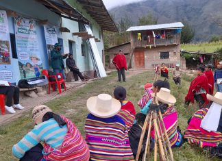 Lambayeque: Comunidades campesinas de Cañaris y SENASA articulan esfuerzos para erradicar moscas de la fruta