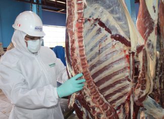 Moquegua: SENASA autoriza funcionamiento y construcción de mataderos municipales de Torata y Mariscal Nieto