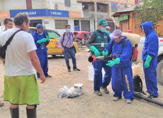 SENASA lidera campaña de recolección de caracol gigante africano en Satipo