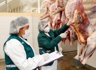 Cajamarca: SENASA impulsa el mejoramiento de mataderos de animales de abasto ante gobiernos locales
