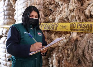 Áncash: Productores de Cátac recibirán autorización para exportar lana de ovino