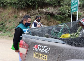 SENASA: Acciones en puesto de control Santa Eulalia resguardan fruticultura local