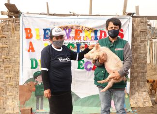 Lambayeque: Más de mil agricultores egresan de Escuelas de Campo como expertos en producción de alimentos inocuos