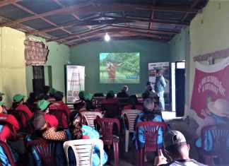Comunidad de Sangallaya y SENASA establecen acciones conjuntas para el control de las moscas de la fruta