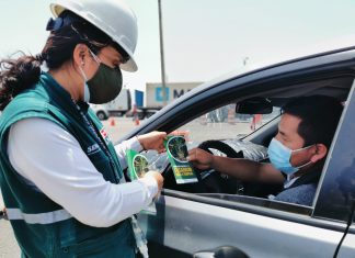 La Libertad: Unidos contra el Fusarium R4T en resguardo de la producción de plátanos y bananos