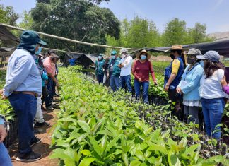 SENASA realiza pasantía guiada a pequeños productores de Huancavelica