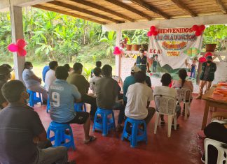 Agricultura familiar del VRAEM se benefició con Escuelas de Campo del SENASA
