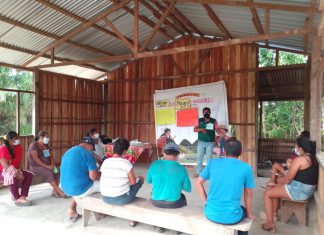 Ucayali: Escuelas de campo del SENASA enseñaron a comunidades nativas para que mejoren sus técnicas de producción