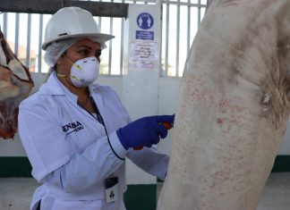 Alianza entre SENASA y gobiernos locales beneficiará a más de un millón de consumidores peruanos