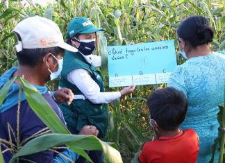 SENASA: Escuelas de campo atenderán a más de 600 pequeños productores de Lambayeque