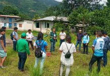 Vraem: SENASA forma facilitadores de Escuelas de campo para mejorar técnicas de producción en cultivos de cacao y cítricos