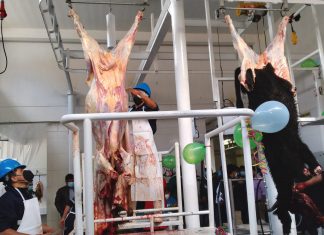 Inauguran primer matadero municipal implementado por SENASA