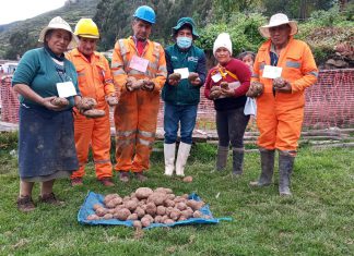 Escuelas de Campo del SENASA atienden a productores de papa en Pasco