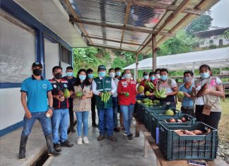 SENASA capacita a productores en buenas prácticas de producción e higiene para que accedan a Ley de compras estatales de alimentos