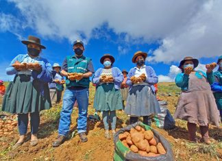 SENASA: Bolivia dejará de imponer restricciones al comercio bilateral de productos vegetales peruanos