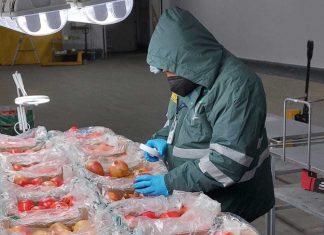 SENASA: La granada muestra un gran potencial agroexportador en Arequipa