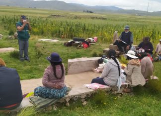 SENASA fortalece técnicas de producción de quinua en agricultura familiar de Puno