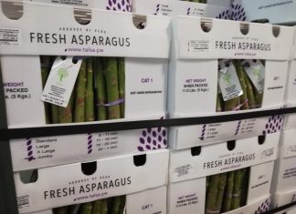 SENASA avanza gestiones para exportar espárrago a EE.UU. sin fumigación con bromuro de metilo