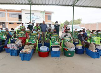 SENASA y FAO afianzan acciones para la contención del Fusarium Raza 4 tropical