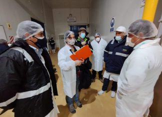 MIDAGRI: SAG Chile certificará nuevas empacadoras de arándanos en Perú