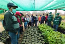 SENASA organizó pasantía guiada para promover el crecimiento de la producción orgánica en Ayacucho