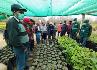 SENASA organizó pasantía guiada para promover el crecimiento de la producción orgánica en Ayacucho