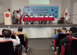 Ica: Oficializan inicio de campaña de exportación de arándanos