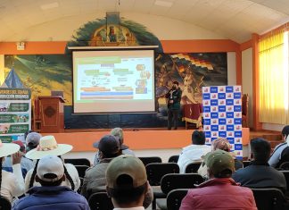 Puno: SENASA capacita a pequeños productores de ajo para consolidar crecimiento agroexportador en Acora