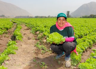 SENASA: Municipalidades deben estar vigilantes que alimentos agropecuarios se comercialicen sanos y libres de contaminantes