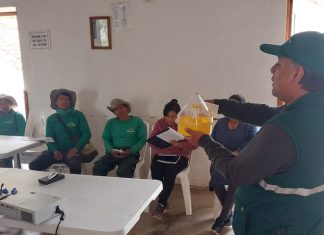 Cusco: SENASA ejecuta jornadas de capacitación sobre erradicación de mosca de la fruta