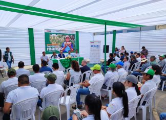 Ancash: Productores de mango y SENASA oficializaron el inicio de la campaña de exportación 2023