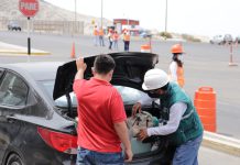 Cajamarca: Inician acciones en Puestos de Control del SENASA